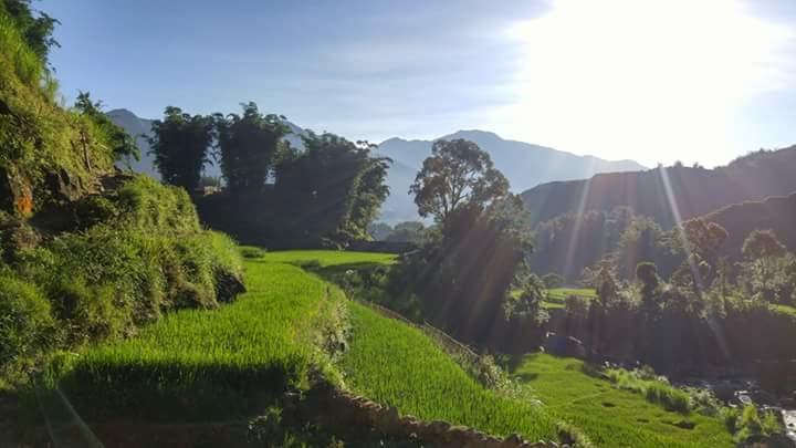 Nguyen Dang Guesthouse Sapa Exterior foto